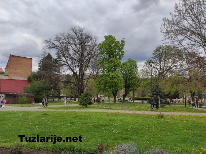 Tuzlarije