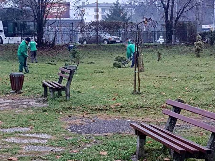 Tuzlarije