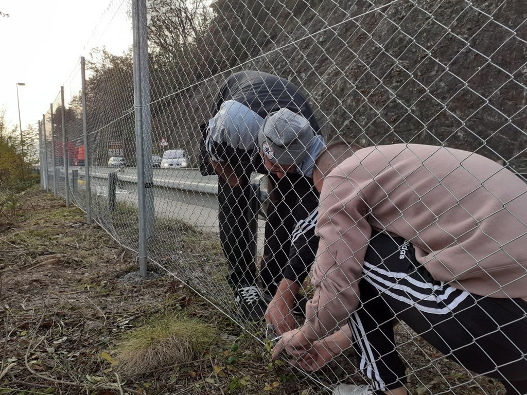 Tuzlarije
