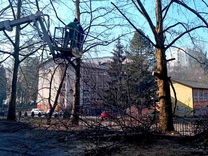 Tuzlarije