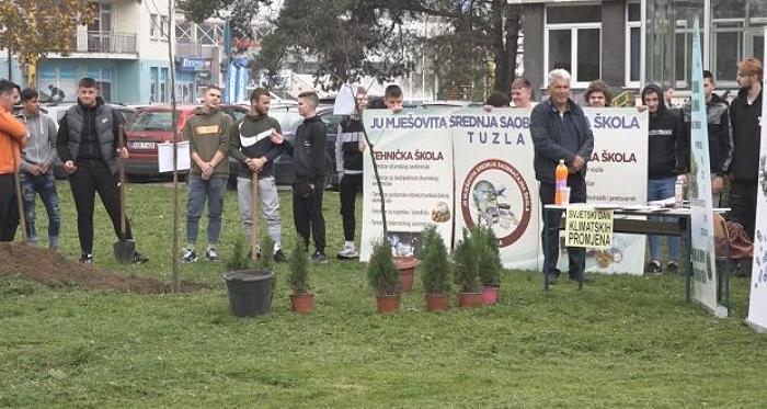 Tuzlarije