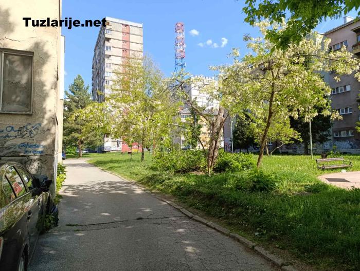 Tuzlarije