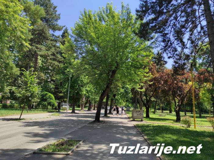 Tuzlarije