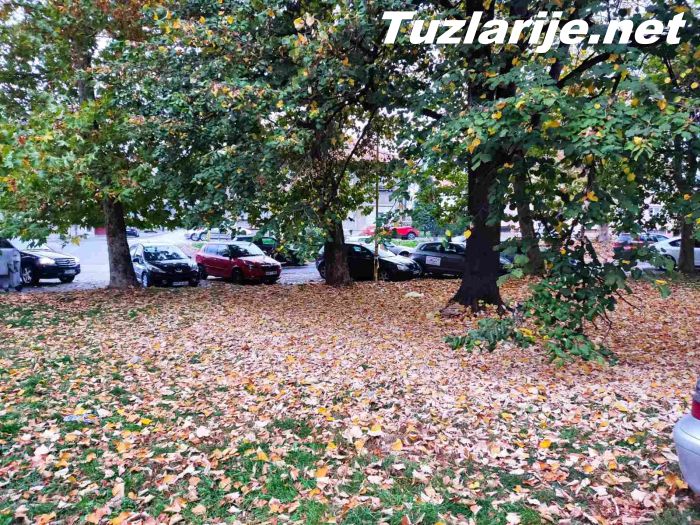 Tuzlarije