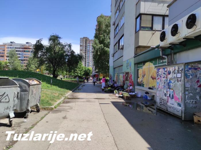 Tuzlarije