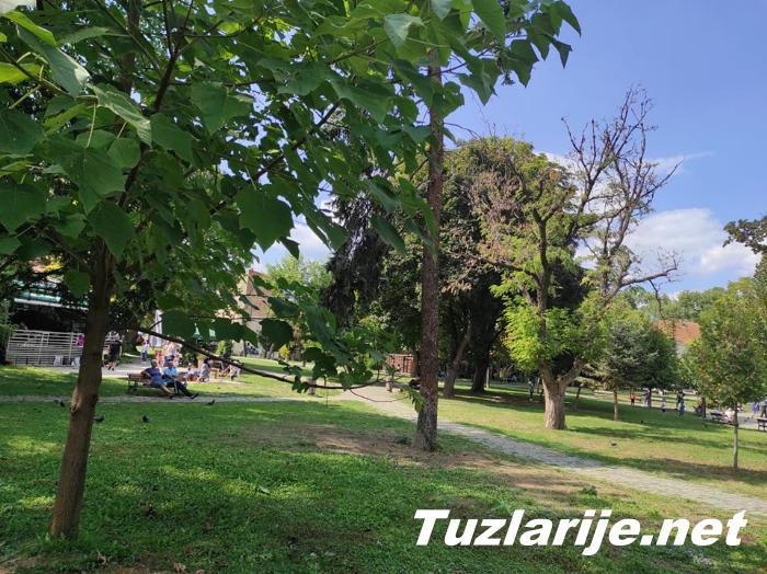 Tuzlarije
