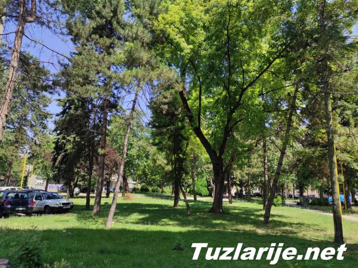 Tuzlarije