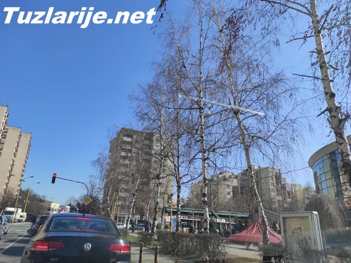Tuzlarije
