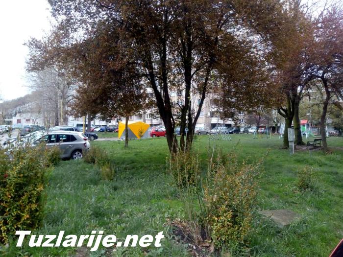 Tuzlarije