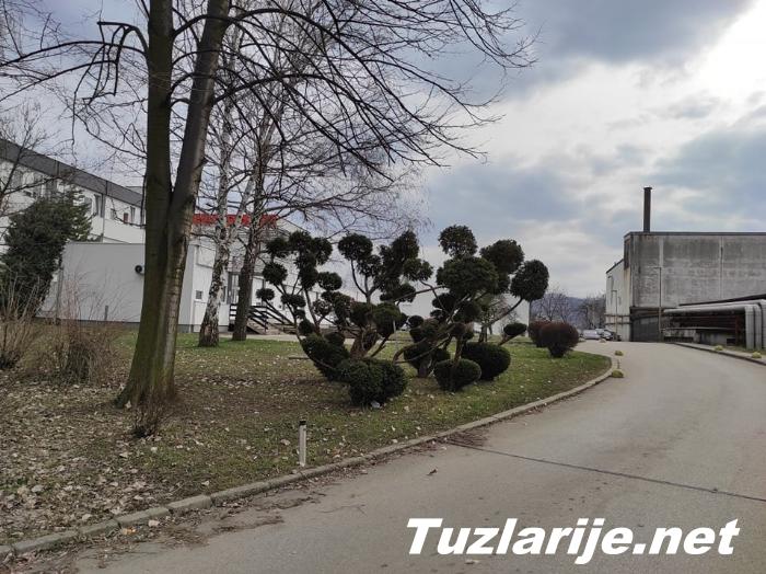 Tuzlarije