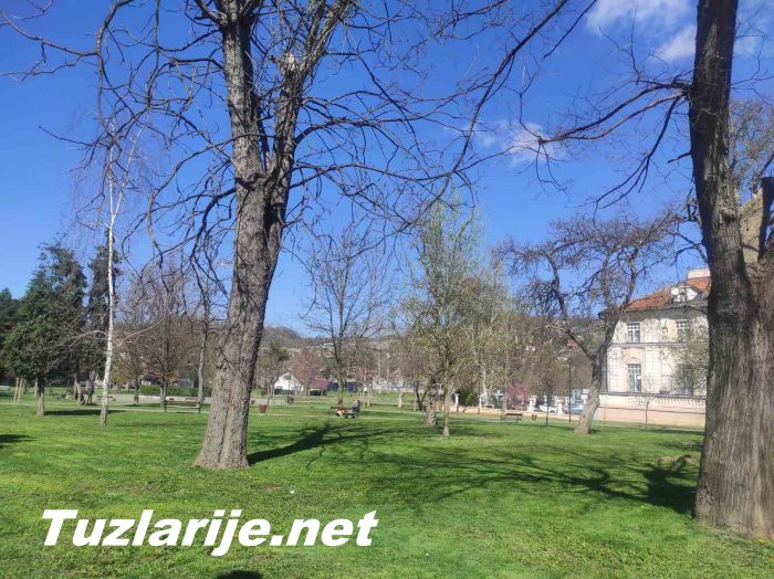 Tuzlarije