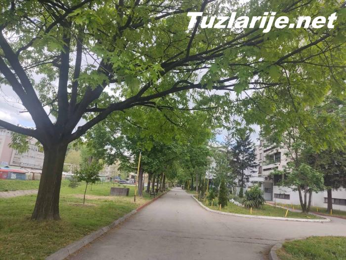 Tuzlarije