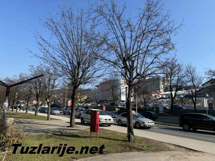 Tuzlarije