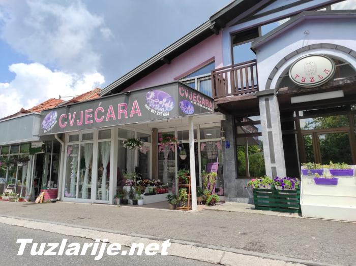Tuzlarije