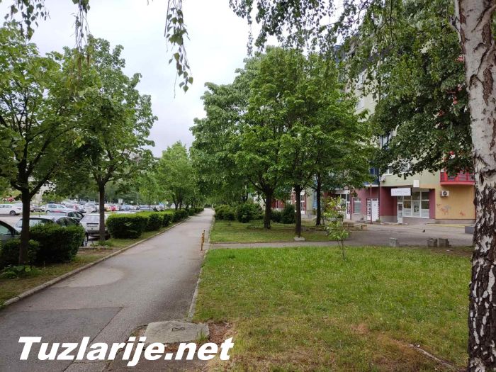Tuzlarije