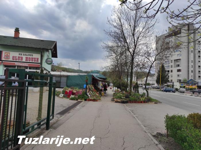 Tuzlarije