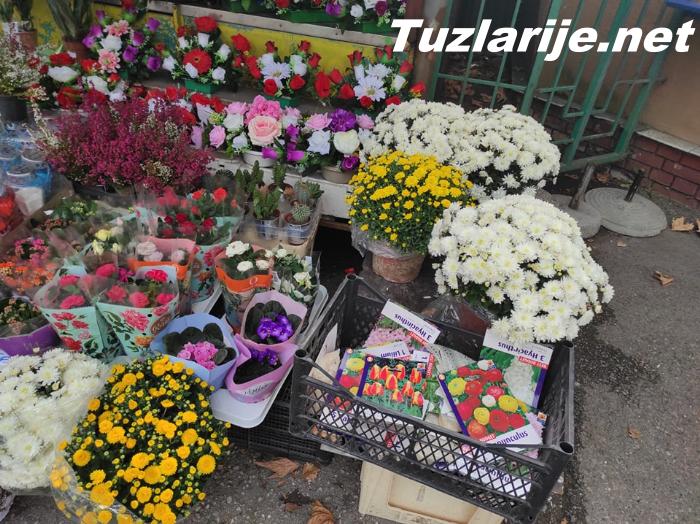 Tuzlarije