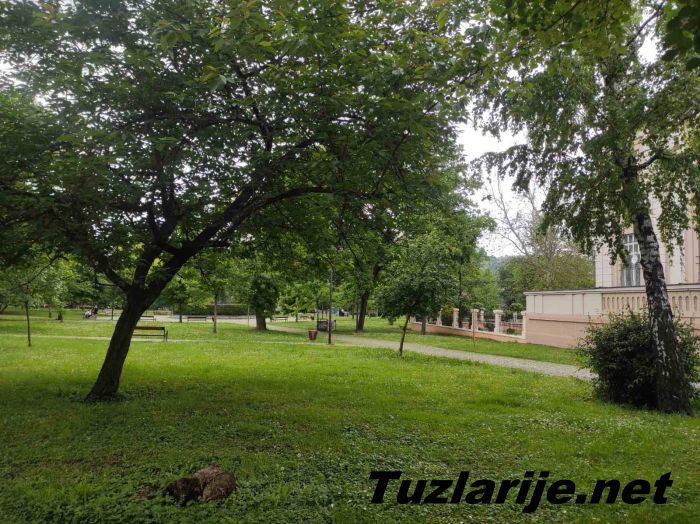 Tuzlarije