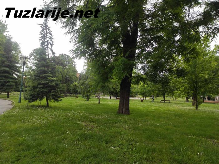 Tuzlarije