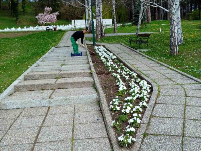 Tuzlarije