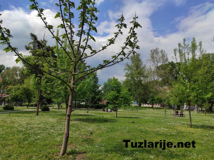 Tuzlarije