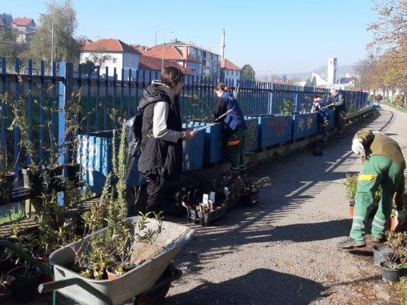 Tuzlarije