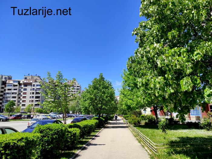 Tuzlarije