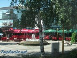 tz0307n
