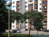tz0307o