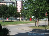 tz0307r