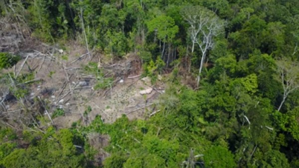VIDEO Prvi put u povijesti dron snimio izolirano amazonsko pleme u Brazilu
