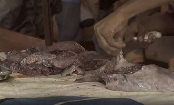 U Venezueli sve gore: Ljudi kupuju pokvareno meso, leševi trunu u mrtvačnicama