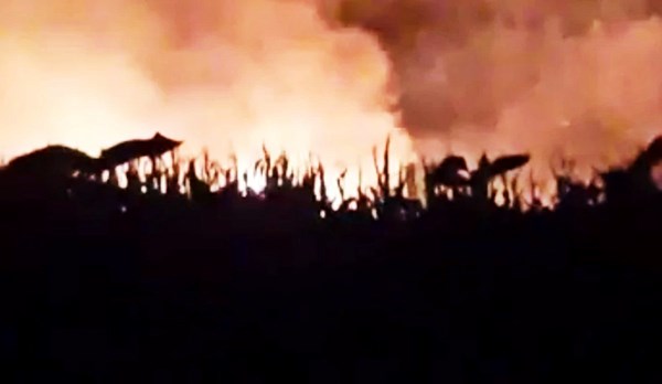 Pao ukrajinski teretni avion, letio iz Srbije: "Vjerojatno je prevozio streljivo"