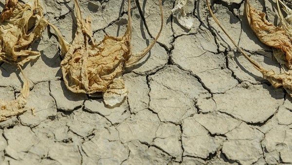 Istraživanje: Gotovo polovici Europe prijeti suša