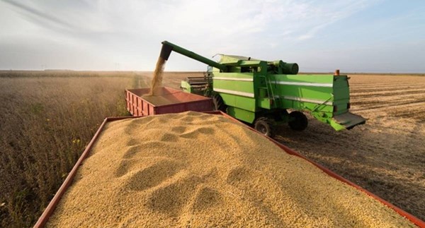 Egipat traži alternativu ruskoj pšenici, pregovara o kreditu za kupnju kazahstanske