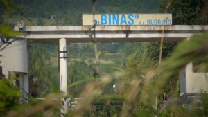 Binas