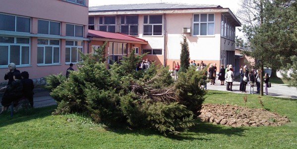 Tuzlarije