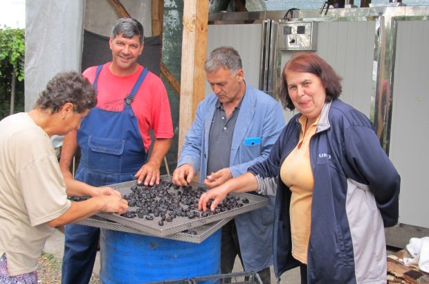 Tuzlarije