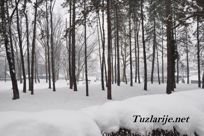 Tuzlarije