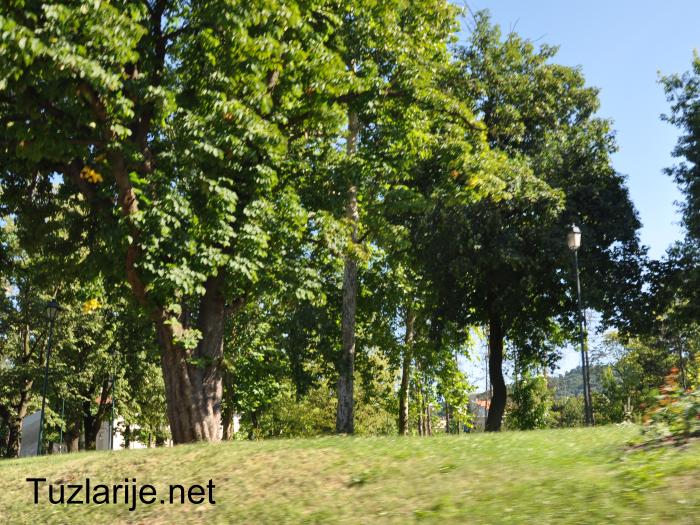 Tuzlarije