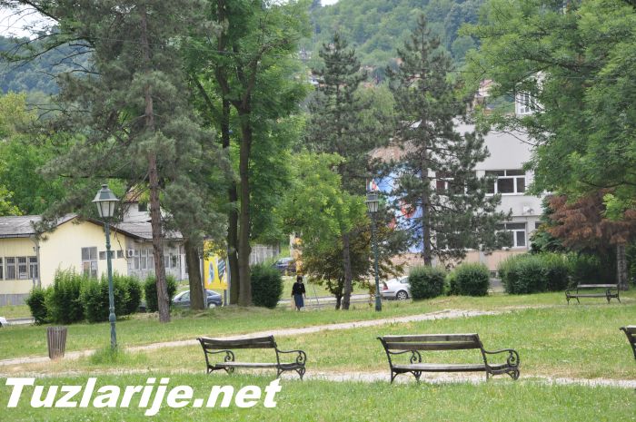 Tuzlarije