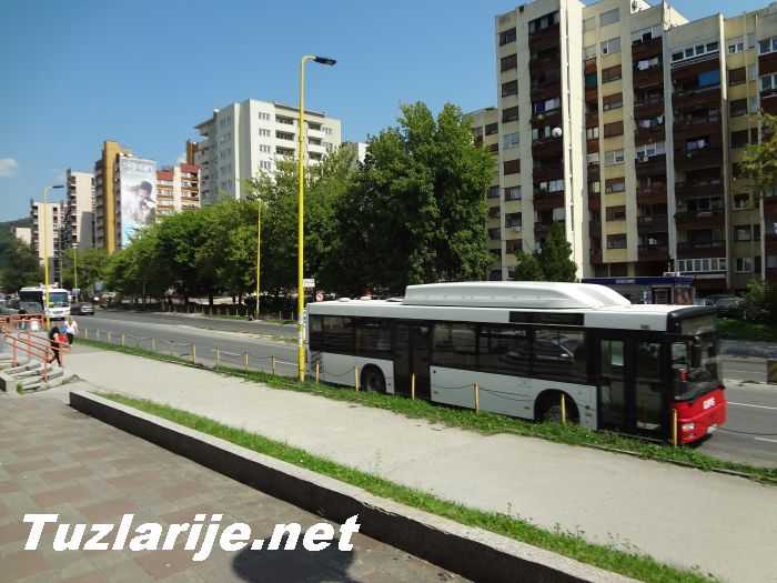 Tuzlarije