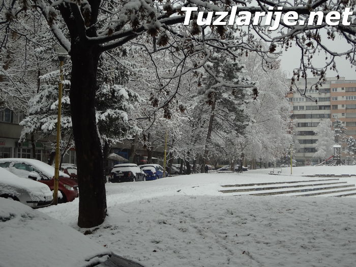 Tuzlarije