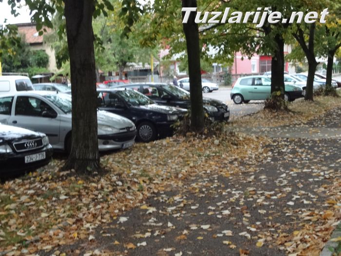 Tuzlarije