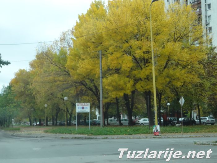 Tuzlarije