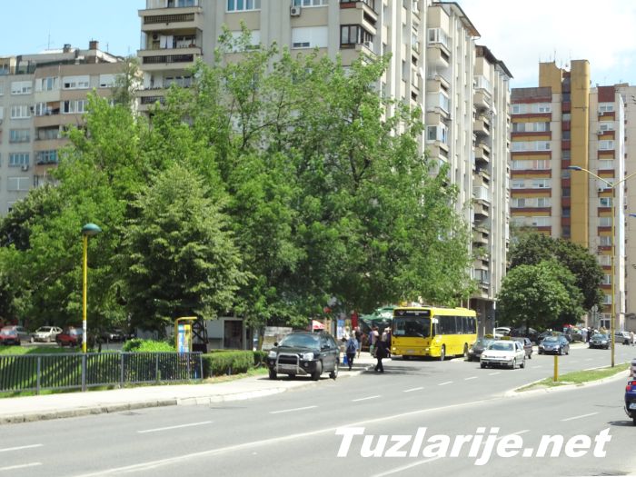 Tuzlarije
