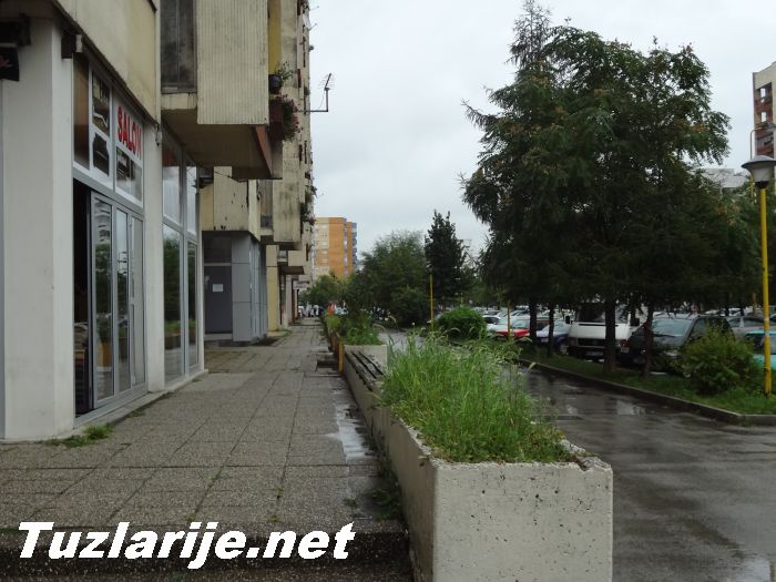 Tuzlarije