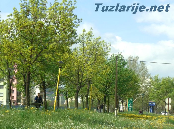 Tuzlarije