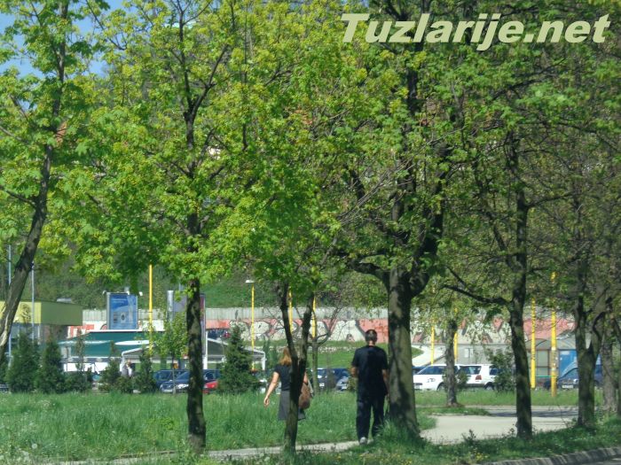 Tuzlarije