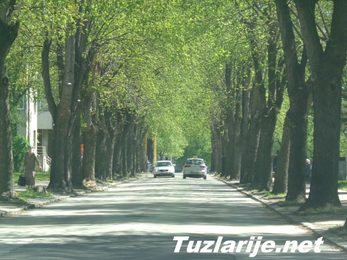 Tuzlarije
